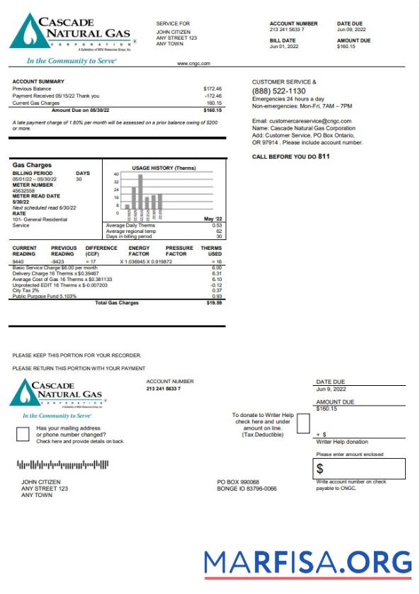 Blank USA Cascade Natural Gas utility bill, Word and PDF template